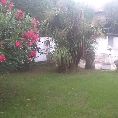 Apartmán App Ensoleille Classe 2 * Avec Terrasse Et Jardin Privatifs Guéthary